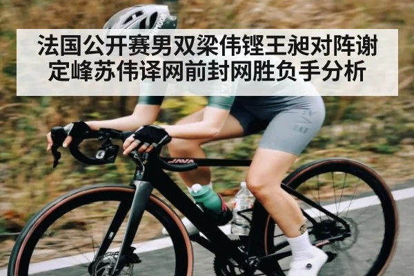 法国公开赛男双梁伟铿王昶对阵谢定峰苏伟译网前封网胜负手分析